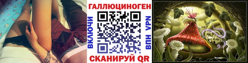Галлюциногенные грибы Psilocybine cubensis  блэк спрут ссылка  Острогожск 