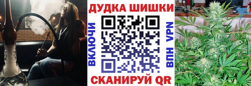 где купить наркотик  Острогожск  Каннабис конопля 